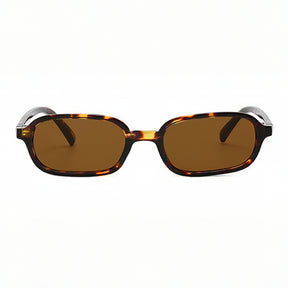 Óculos Pavia | Lançamento